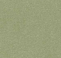 Ковролин Radici Nexus Menta 8276 фото 1 | FLOORDEALER